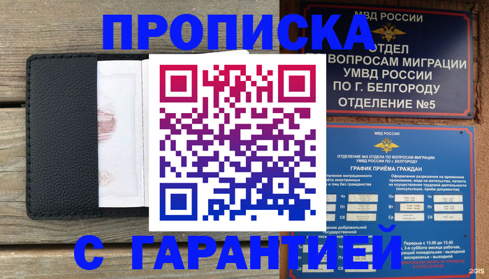 купить прописку в Калининграде